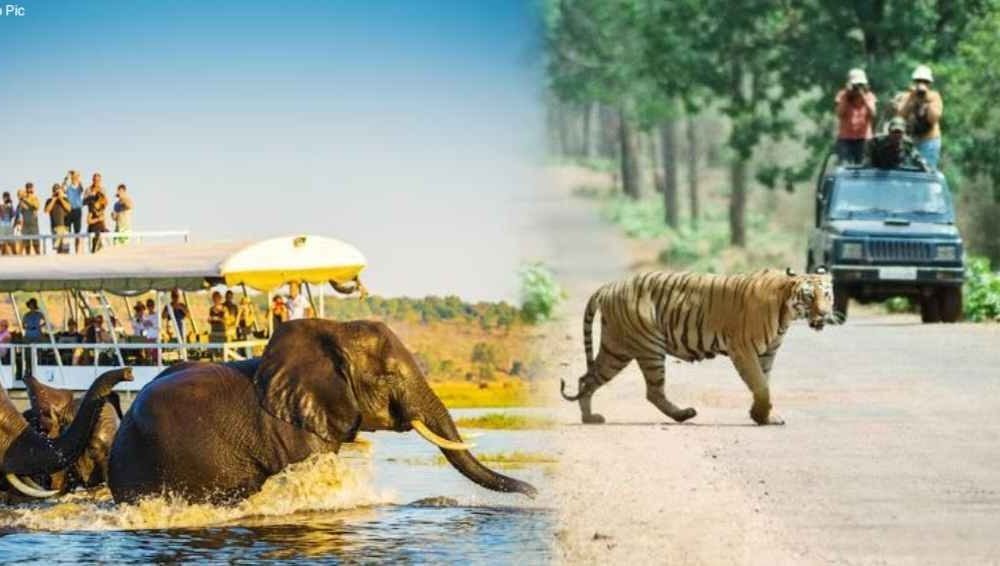 बिहार में बन राज्य का पहला संयुक्त रिवर-जंगल सफारी, जानिए- कहाँ बन रहा, कितना होगा टिकट शुक्ल और कब होगा उद्घाटन