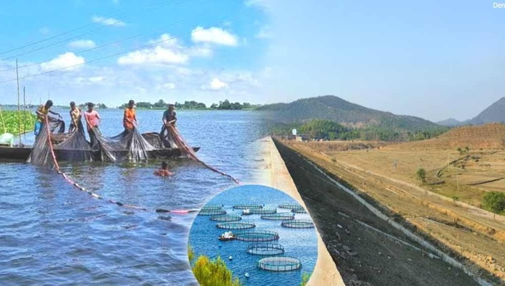 बांका जिला मछली उत्पादन में बनेगा आत्मनिर्भर, ओढनी डैम में 70 लाख खर्च कर बनेगा 24 केज।