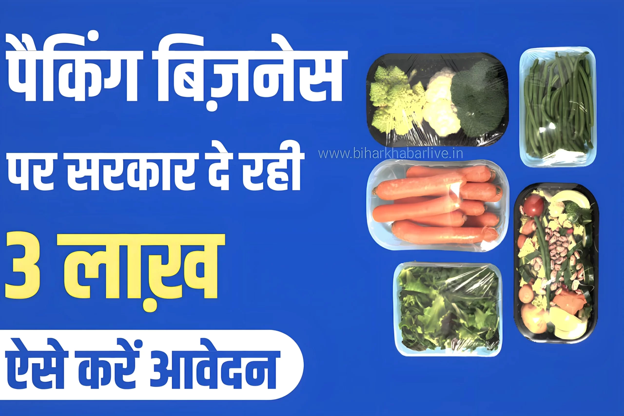 Fruit Packaging Yojana