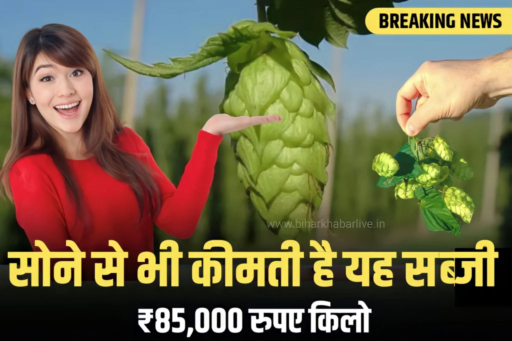 Expensive Vegetable
